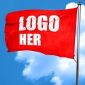 Logo flagg